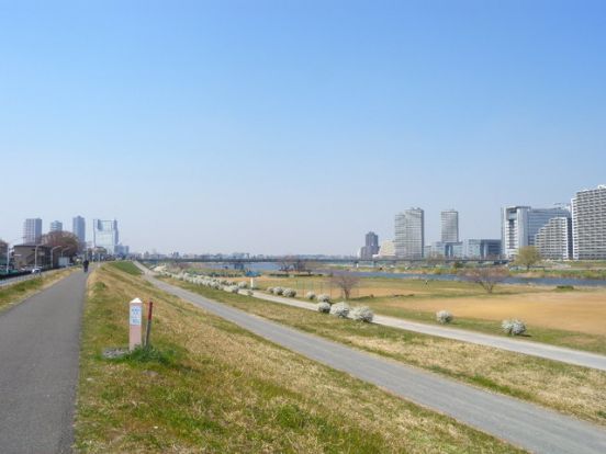 多摩川ガス橋緑地の画像
