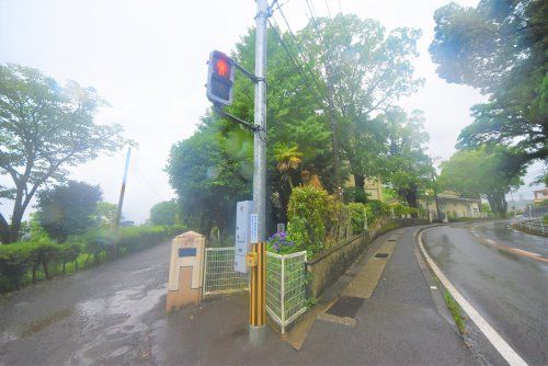 宮崎市立大宮中学校の画像