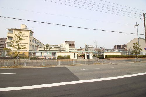 堺市立英彰小学校の画像