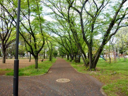 江北公園の画像