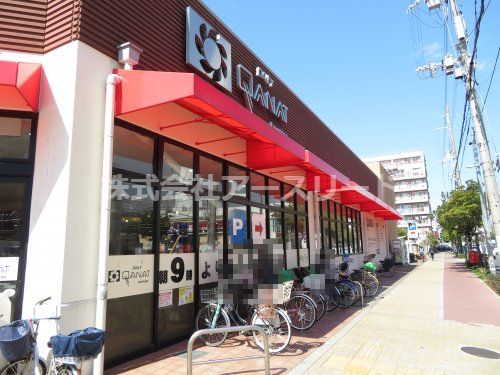 デイリーカナートイズミヤ 豊新店の画像