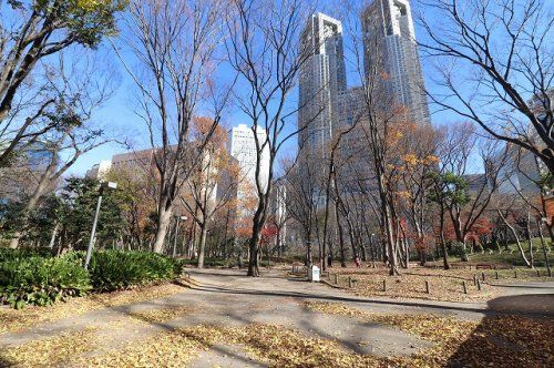 新宿区立新宿中央公園の画像