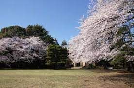 駒場公園の画像