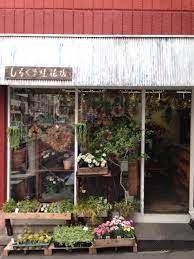 しろくま生花店の画像