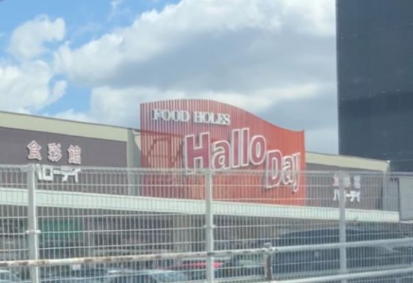 HalloDay(ハローデイ) 共立大前店の画像