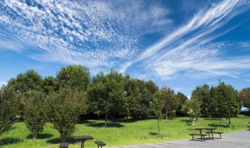 繁多川公園の画像