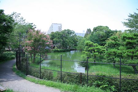 菊田水鳥公園の画像