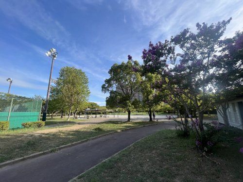 高洲中央公園の画像