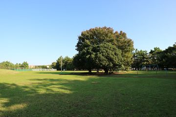 舞浜公園の画像