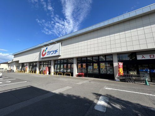 カワチ薬品 今泉店の画像