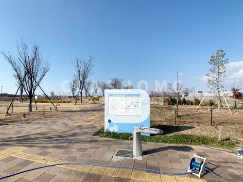 油ヶ淵水辺公園　自然ふれあい生態園の画像