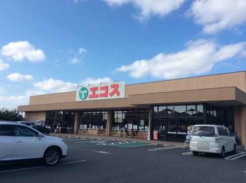 エコス 市川島尻店の画像