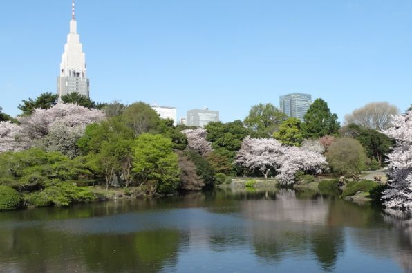 財団法人国民公園協会新宿御苑の画像