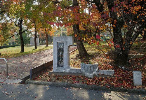 樫ノ木公園の画像