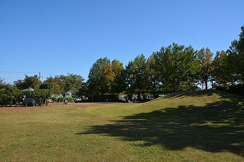 ふじみ野市運動公園の画像