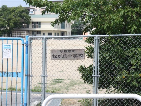 明石市立 松が丘小学校の画像