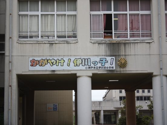 神戸市立 伊川谷小学校の画像