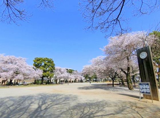 板橋区平和公園の画像