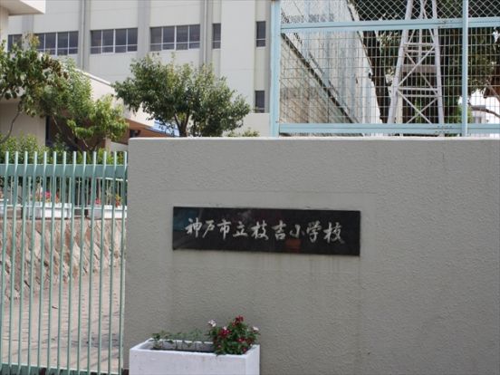 神戸市立 枝吉小学校の画像