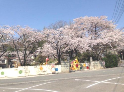 東平幼稚園の画像