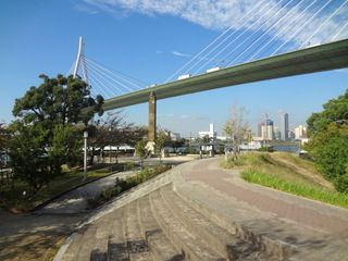 天保山公園の画像