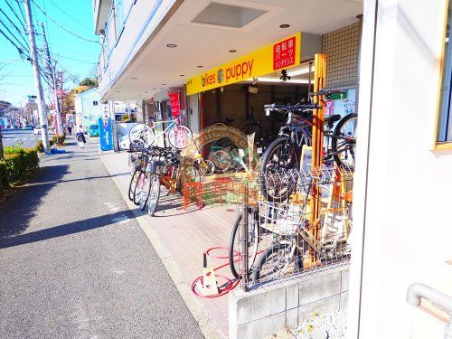 bikes puppy (バイクス・パピー)の画像