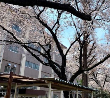 国立市立国立第一中学校の画像