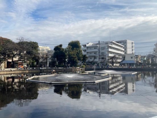 清水池公園の画像