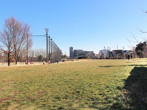 赤羽自然観察公園の画像