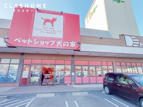 ペットショップ 犬の家＆猫の里 碧南店の画像