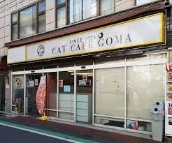 猫カフェ GOMA(ゴマ)の画像
