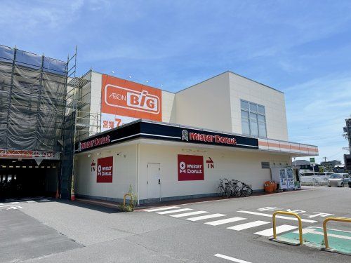 The Big(ザ・ビッグ) 藤枝田沼店の画像