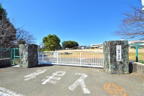 熊本市立桜井小学校の画像