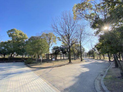 岸和田市中央公園の画像