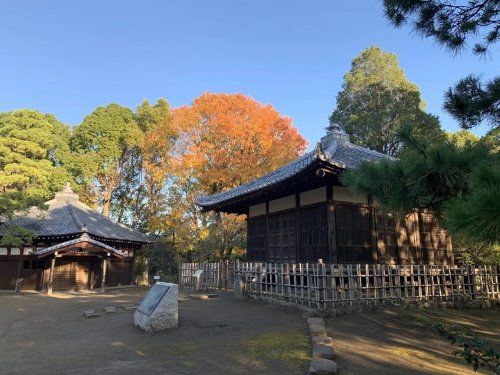 哲学堂公園の画像