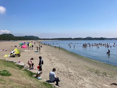 海の公園の画像