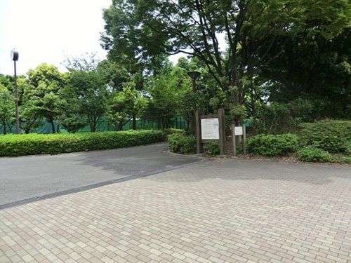 木場公園の画像