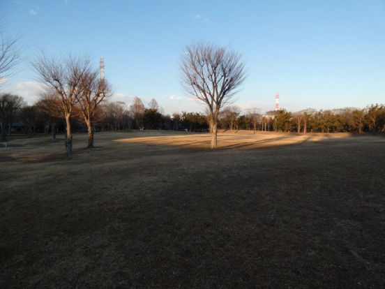 清原中央公園の画像