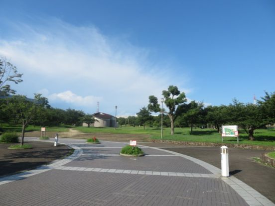 南港中央公園の画像