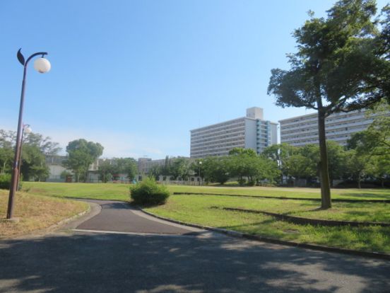 南港近隣2号公園（南港緑公園）の画像