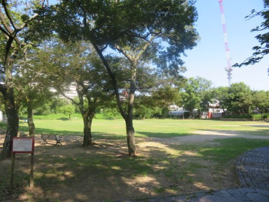 南港近隣3号公園（南港海のまち公園）の画像