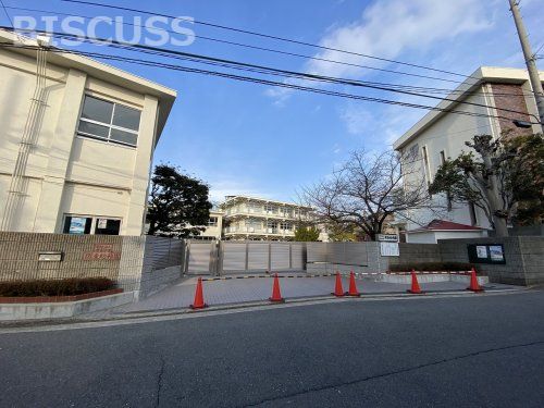 学校法人 堺東学園 堺東幼稚園の画像