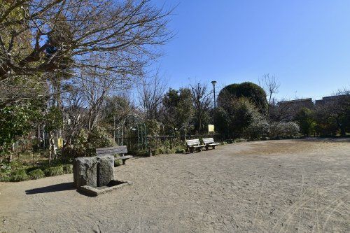 田柄梅林公園の画像