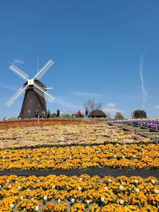 花博記念公園 鶴見緑地の画像