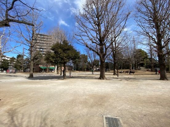 中野区立新井薬師公園の画像