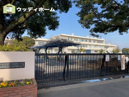 春日部市立宮川小学校の画像