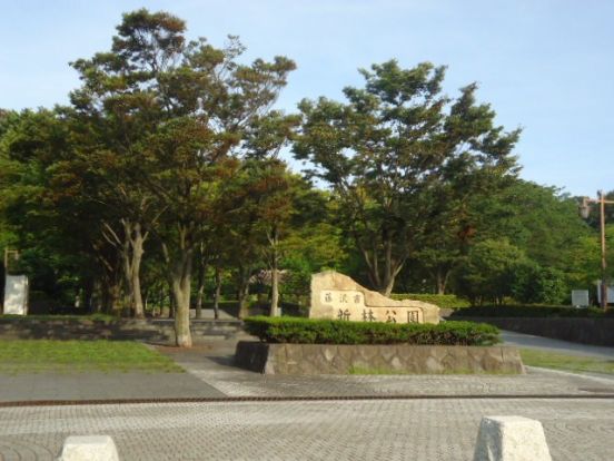 新林公園の画像