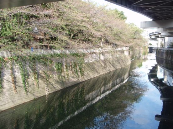 区立江戸川公園の画像