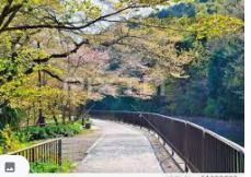 東山自然緑地の画像