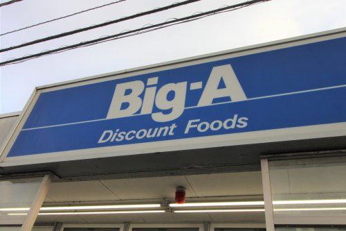 Big-A 流山江戸川台西店の画像